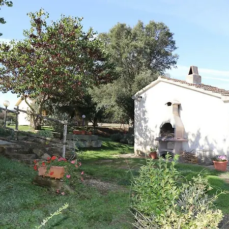 Lantgård Tinti Montiano (Tuscany)